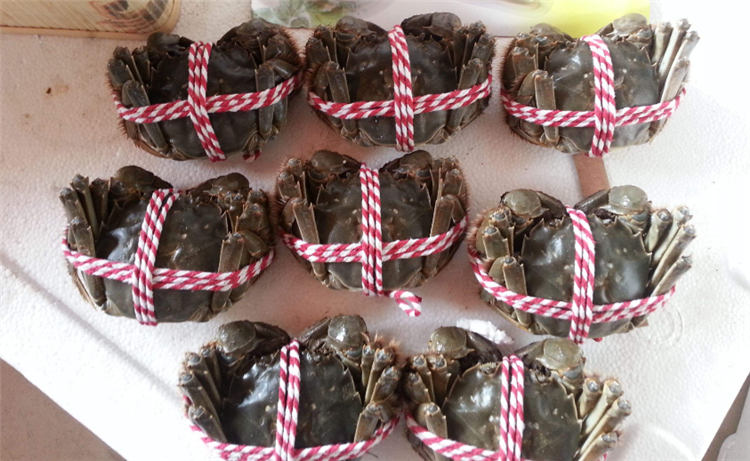在未来的3个月里，你都能吃到来自辽宁的盘锦河蟹，它的销售期将